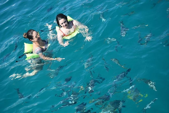 Private Catamaran Snorkeling Cruise in Los Cabos - Meeting Point at Finisterra 1, Start Time, and What You Need to Know