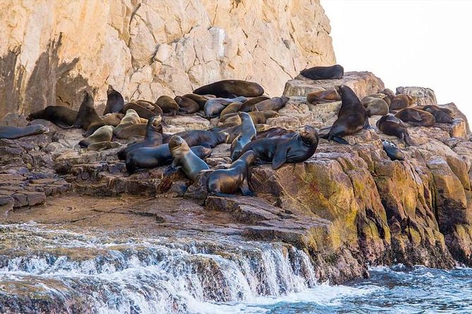 Private Customized Tritoon Boat rental, Snorkeling, Sunset. - Cabo San Lucas Bay to Land’s End: why the ride matters