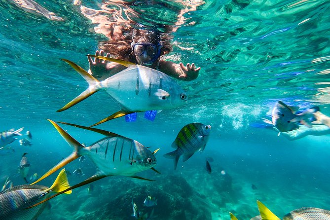 Private Day Trip to San José & Cabo San Lucas - Price and value: $760 per group, up to 8 people