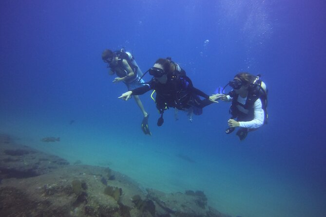 Private Dive Boat for Certified Divers - Cabo San Lucas - Where You Start: Cabo Marina Meeting Point and the Short Boat Transfer