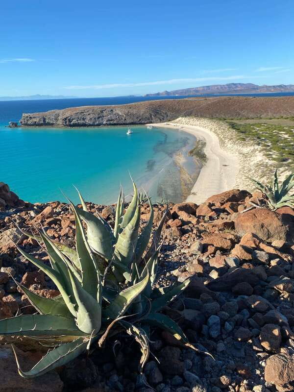 Private experience from Cabo San Lucas to La Paz: (Balandra beach) - Pickup, timing, and the “long day” reality check
