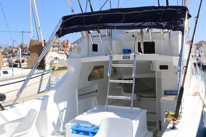 Private Fishing Trip "All Inclusive" in Cabo San Lucas, Mexico - What you can actually catch in Cabo: marlin, dorado, wahoo, and more