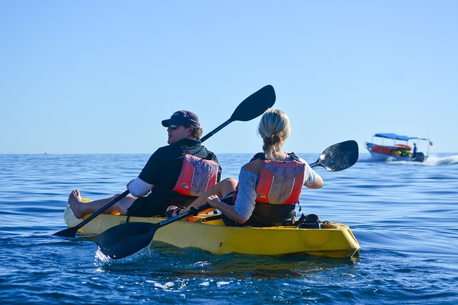 Private Glass bottom Kayak and snorkel at two Bays - No boats, private guide, and beach-based logistics that actually help
