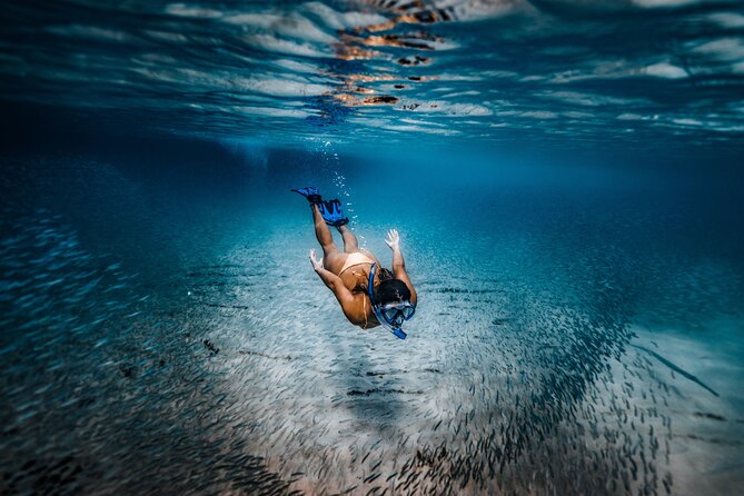 Private Guided Snorkeling in Cabo San Lucas - What you really get from private snorkeling near El Arco