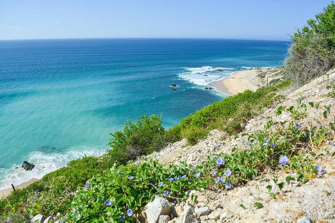 Private Jeep Tour Cabo Pulmo - Lunch in Miraflores at Los Agaves: fueling the day right