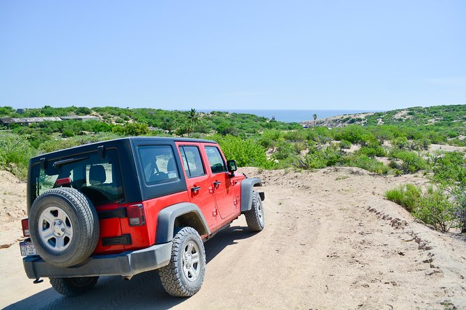 Private Jeep Tour Cabo Pulmo - Price and value: what $650 per group really buys
