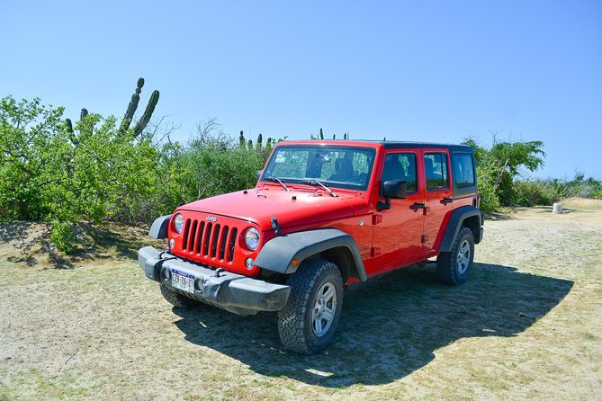 Private Jeep Tour Cabo Pulmo - Pickup and meeting point: keeping your morning stress-free
