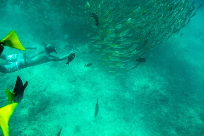Private Los Cabos snorkeling tour to Chileno bay and Santa Maria cove - Chileno Bay: where the reef variety does the talking