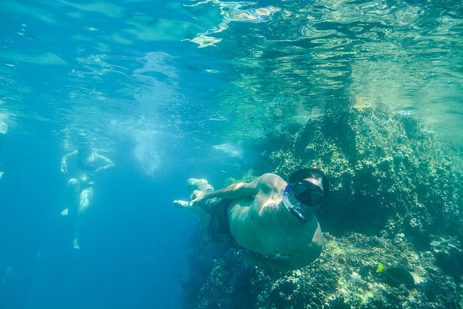 Private Los Cabos snorkeling tour to Chileno bay and Santa Maria cove - Marine life odds, based on what matters most