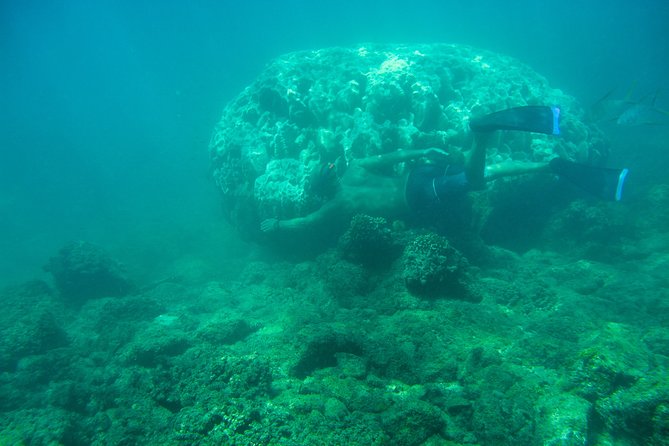 Private Los Cabos snorkeling tour to Chileno bay and Santa Maria cove - Why the guide experience matters more than you think