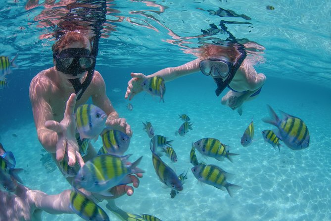 Private Luxury Sailing Cruise in Los Cabos with Lunch and Open Bar - Pickup timing and boarding rules that keep the day stress-free