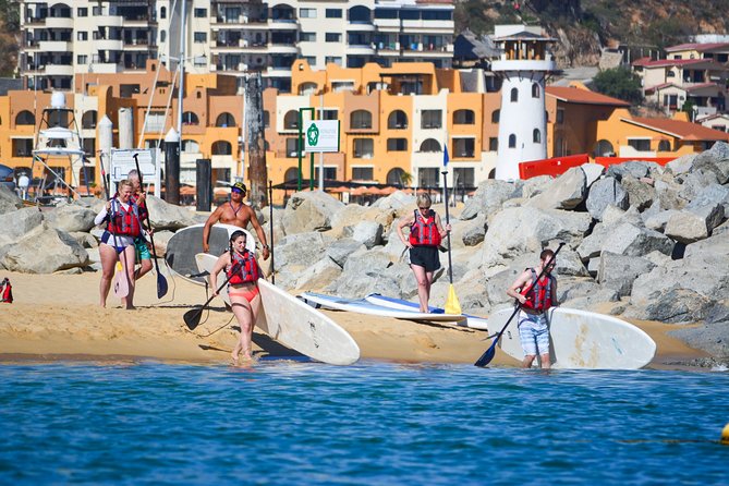 Private Paddleboard and snorkel at the arch - El Arco on SUP, Sea Lions and That Close-Up Scale