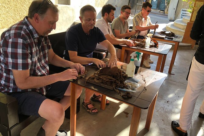 Private Puro Cigar Creation Workshop in Los Cabos - Pressing and End Rolling Technique: Finishing Work That Makes the Shape