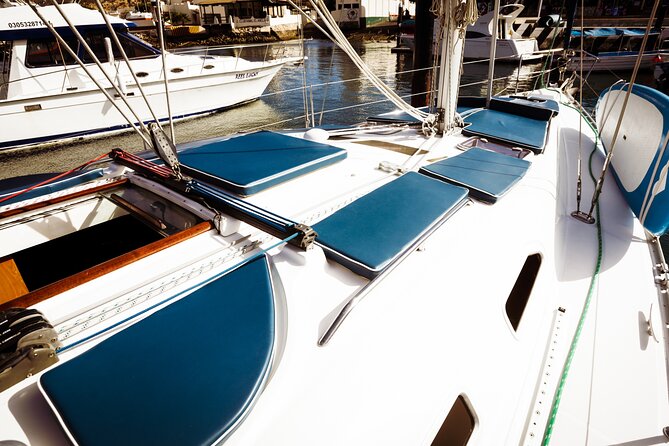 Private Sailboat tour in Cabo San Lucas with Papillon Yachts - Whales, flexible plans, and how the crew keeps things comfortable