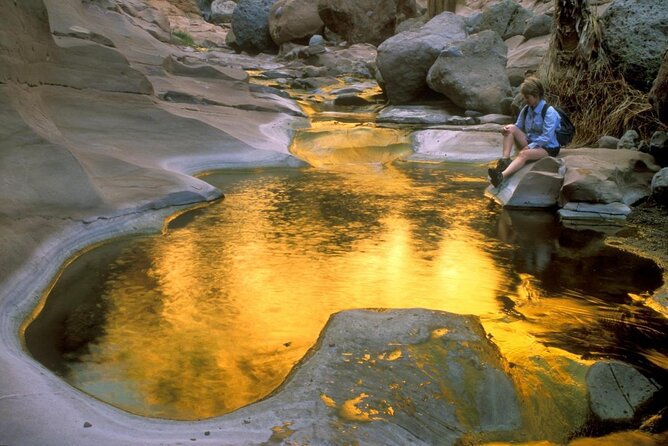 PRIVATE Sierra de Laguna Hiking & Natural Water Swim Waterfall - Sierra de la Laguna: more than a Cabo side trip