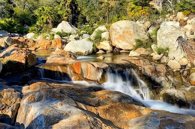 PRIVATE Sierra de Laguna Hiking & Natural Water Swim Waterfall - The Pericu connection and why the guide’s story changes the hike