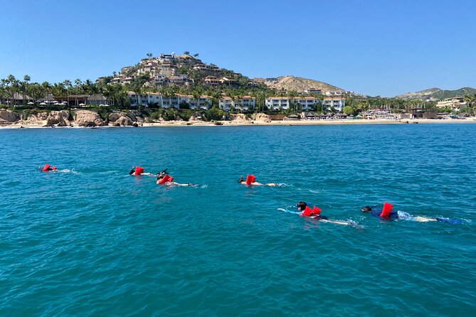 Private Snorkeling In San Jose Del Cabo Lunch, Drinks, Snack - Snorkeling Gear and What You Can Expect Underwater