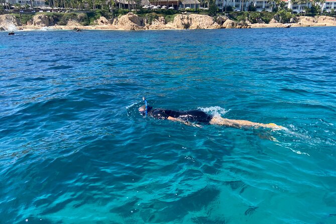 Private Snorkeling In San Jose Del Cabo Lunch, Drinks, Snack - Price at $200 Per Person: When It’s a Great Value