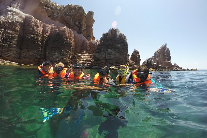 Private Snorkeling Tour in Cabo San Lucas - What you’ll see: from sea turtles to whales