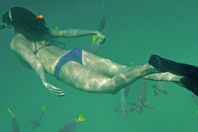 Private Snorkeling Tour in Cabo San Lucas - Gear, snacks, and the small comforts that keep the day flowing