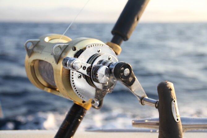 Private Sport Fishing Charter Experience in Cabo San Lucas (5 Hours) - Price and value for a group up to 15, plus what to budget extra