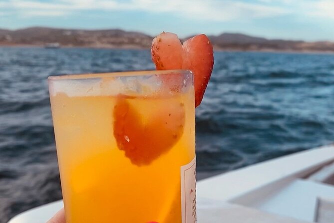 Private Sunset Cruise in San Jose del Cabo Appetizers,open bar - Private service with Jonathan, Oscar, and Captain Eduardo
