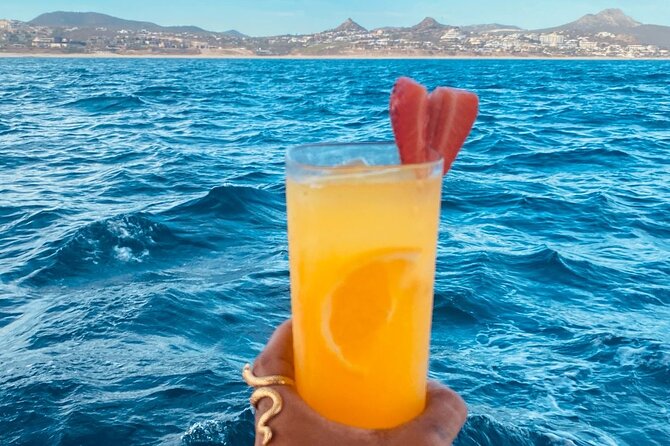 Private Sunset Cruise in San Jose del Cabo Appetizers,open bar - Practical tips to get the most out of your 2 hours