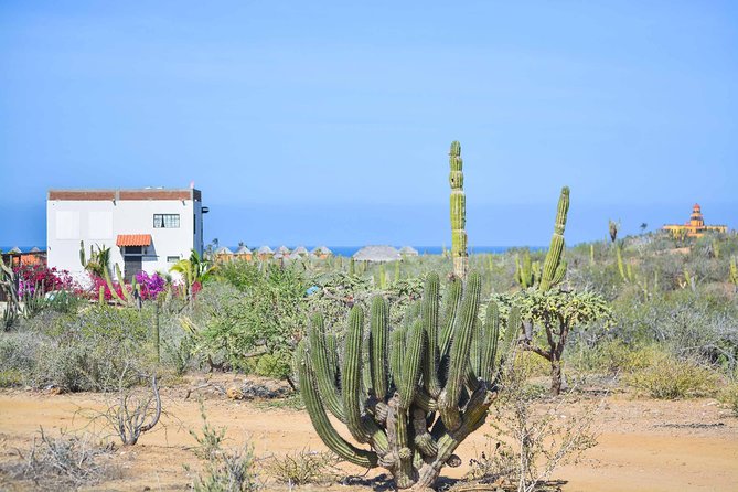 Private Todos Santos Jeep - Quick Hitters