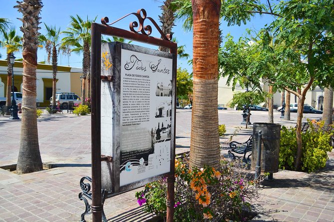 Private Todos Santos Jeep - Stop at Cerritos Beach Again: Lunch Setup With a Beach-First Feel