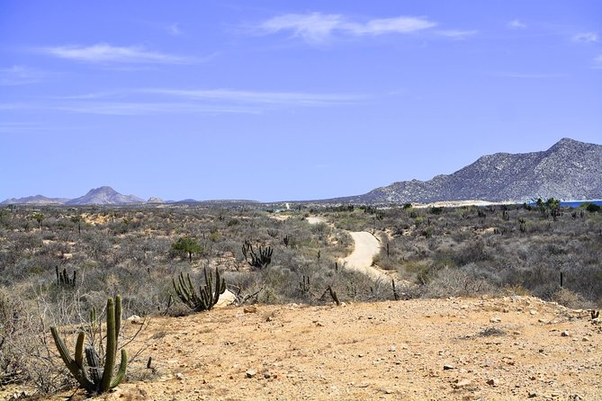 Private Tour Baja Jeep 4x4 Adventure at Los Cabos - Stop 3: Santiago Oasis Stop (About 15 Minutes)