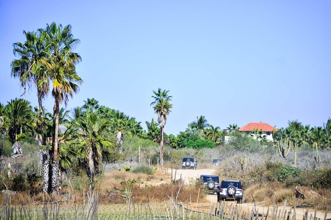 Private Tour Baja Jeep 4x4 Adventure at Los Cabos - Stop 4: Rancho Ecológico Sol de Mayo and Fox Canyon Waterfalls (About 2 Hours)