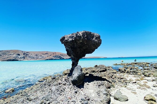 Private Tour to Balandra, La Paz and Todo Santos - Balandra Beach: stunning water, a viewpoint, and the one real catch