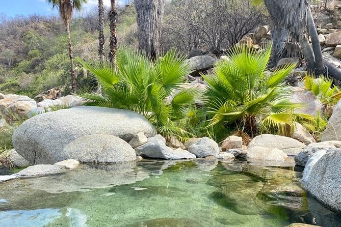 Private Tour to Hot Springs and Waterfall in Santiago - Canyon de la Zorra hike: the waterfall, the pools, and the oasis feeling