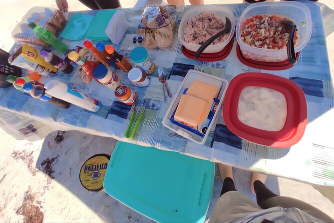 Private Tour to Isla Espiritu Santo and snorkel with sea lions - Ensenada stop for sea turtles: a feeding-area check
