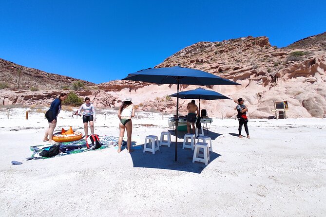 Private Tour to Isla Espiritu Santo and snorkel with sea lions - Sea Lion Rock: swimming with California sea lions, plus the June-August rule