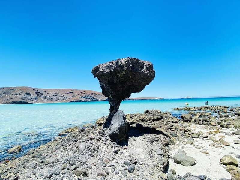 Private tour to La Paz, Balandra and Todos Santos from CABO - Todos Santos: Hotel California and art-focused browsing