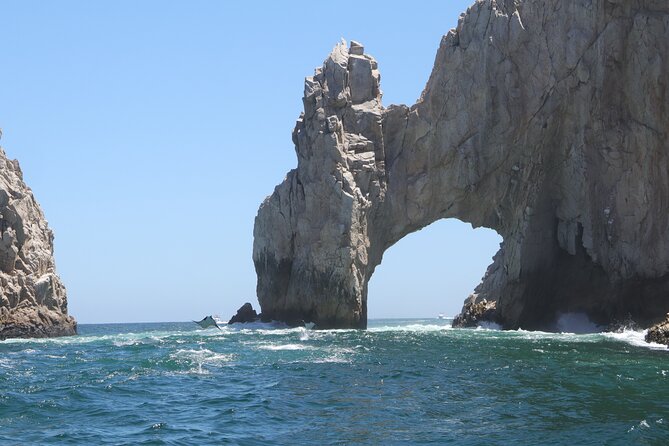 Private Tour to the Arch of Cabo San Lucas by Glass Bottom Boat - Starting at D Dock in Cabo San Lucas