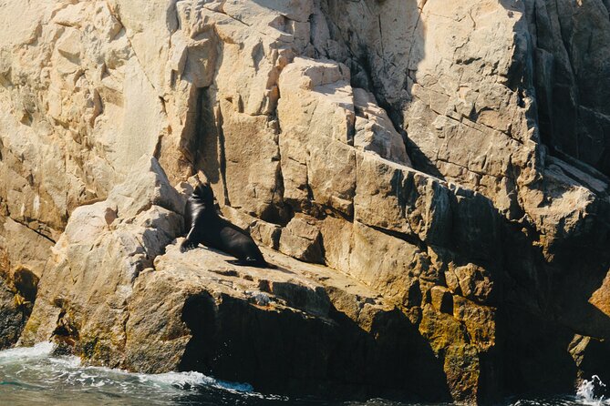 Private Tour to the Arch of Cabo San Lucas by Glass Bottom Boat - Stop at El Arco: the million-year rock moment