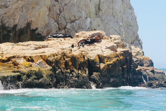 Private Tour to the Arch of Cabo San Lucas by Glass Bottom Boat - Who this tour suits best, and who might want a different style