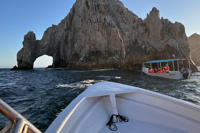 Private Tour to the Arch of Cabo San Lucas by Glass Bottom Boat - The glass-bottom boat angle: what you actually see