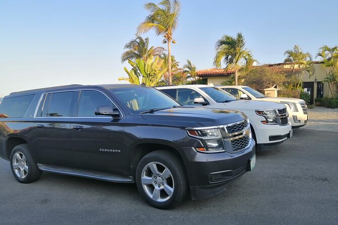 Private transportation (SAN JOSE DEL CABO) - Who This Transfer Is Best For