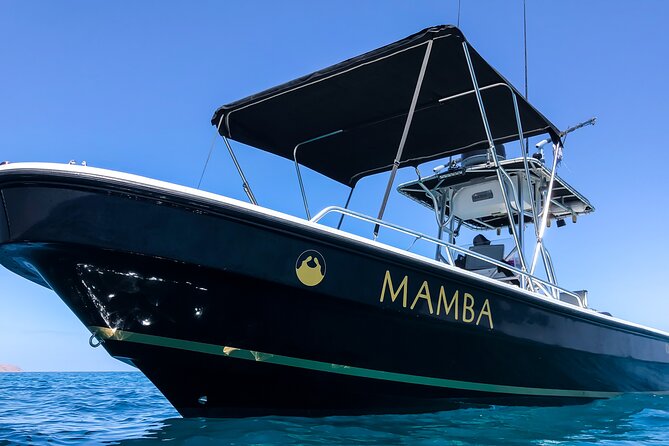 Private Trip Espiritu Santo Island - Starting in La Paz Malecón, 9:00 am to 7-ish Hours Later