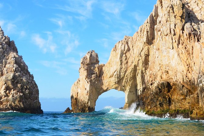 PRIVATE Whale Watch Tour | Cabo San Lucas | Biologist | FREE Pics - Private whale watching with a marine biologist in Cabo San Lucas