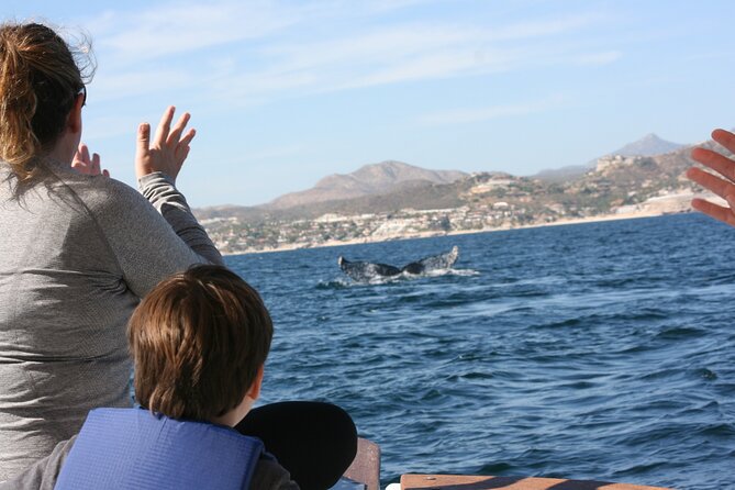 Private Whale Watching in San José del Cabo - Where you meet and how the ride feels from shore