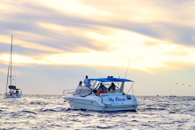 Private Whale Watching on Luxury Yacht in Cabo San Lucas - What happens on the water: bayside flow and photo moments