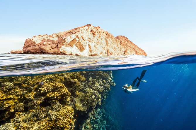 Private Wild Dolphin Encounter Day Trip - Snorkeling with the crew’s rules, not a fixed script