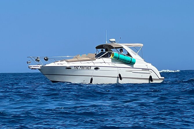 Private yacht rental for 2 hours - The Best Time to Go in Cabo San Lucas (Based on How the Charter Works)