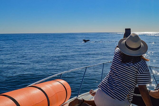 Private Yacht, Snorkeling or Sunset in Cabo San Lucas - Private yacht timing, group size, and what your $888 covers
