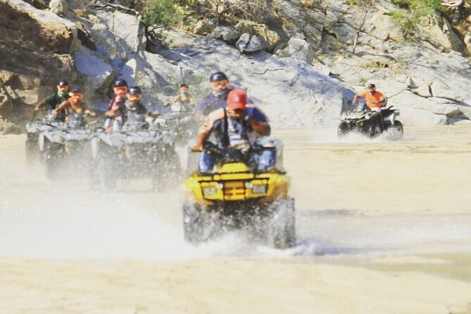 Ride through Bajas wild beauty—from desert trails to ocean views. - Key things you should know before you go