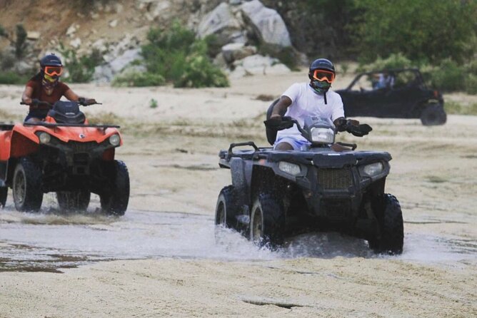 Ride through Bajas wild beauty—from desert trails to ocean views. - Stop One at Playa Migriño: whales in season and a sunset that earns its hype